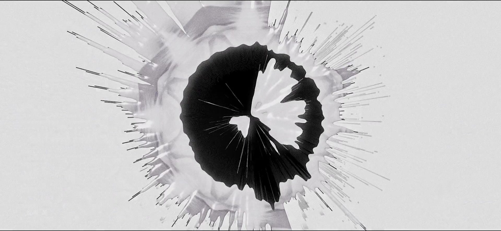 Black-and-white radial form with fine protruding lines.