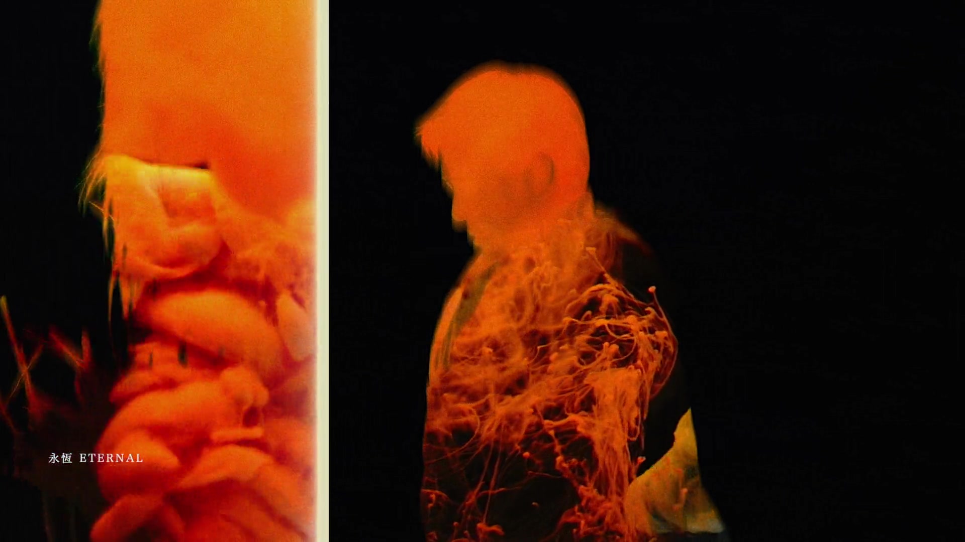 Orange figure and organic strands in a split composition, labeled ETERNAL.