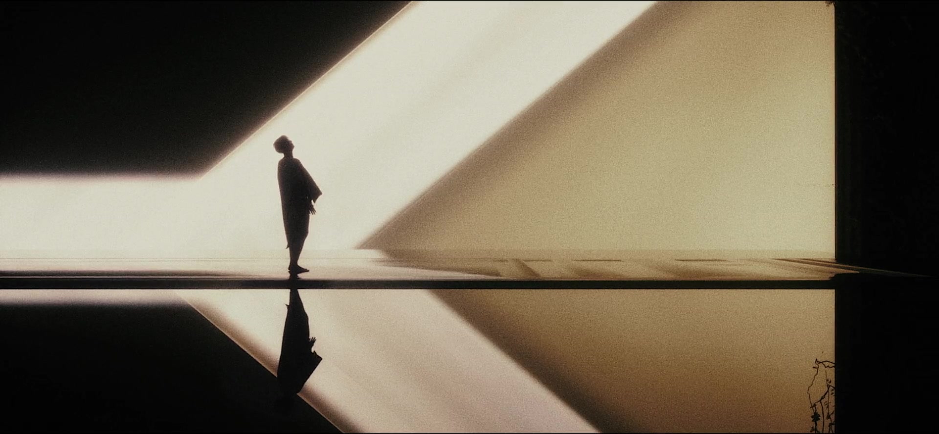 Human silhouette and reflection in an architectural space crossed by a beam of light.